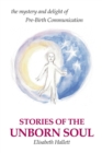 Image for Stories of the Unborn Soul