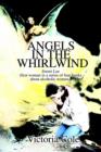 Image for Angels in the Whirlwind