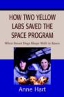 Image for How Two Yellow Labs Saved the Space Program