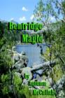 Image for Bentridge Magic