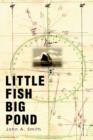 Image for Little Fish Big Pond