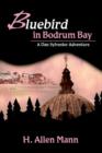 Image for Bluebird in Bodrum Bay : A Dan Sylvester Adventure