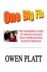 Image for One Big Fib : The Incredible Story of the Fraudulent First International Bank of Grenada