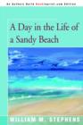 Image for A Day in the Life of a Sandy Beach