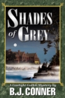 Image for Shades of Grey