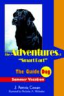 Image for The Adventures of Smart Bart