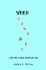 Image for When Down Is Up : ...Life with a Down Syndrome son.