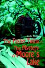 Image for The Foster Twins In The Mystery At Moore&#39;s Lake
