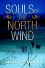 Image for Souls of the North Wind
