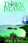 Image for Down Island : A Novel of the Caribbean