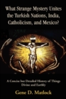 Image for What Strange Mystery Unites the Turkish Nations, India, Catholicism, and Mexico? : A Concise But Detailed History of Things Divine and Earthly