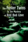 Image for The Foster Twins In The Mystery at Red Bud Cove
