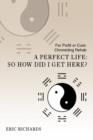 Image for A Perfect Life : So How Did I Get Here?: For Profit or Cure: Chronicling Rehab