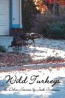 Image for Wild Turkeys &amp; Other Stories