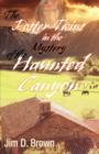 Image for The Foster Twins in the Mystery of the Haunted Canyon