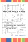 Image for Amazing Minds Mazes