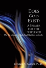 Image for Does God Exist: a Primer for the Perplexed: Why the Existence God Should Be Taken Seriously