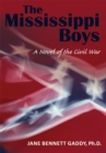 Image for Mississippi Boys: A Novel of the Civil War