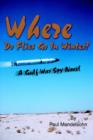 Image for Where Do Flies Go In Winter? : A Gulf War Spy Novel