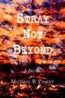 Image for Stray Not Beyond