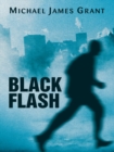 Image for Black Flash