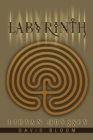 Image for Labyrinth: a novel about the software industry
