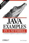 Image for Java Examples in a Nutshell
