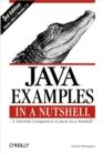Image for Java examples in a nutshell