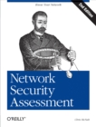 Image for Network security assessment