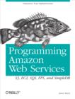 Image for Programming Amazon Web Services: S3, EC2, SQS, FPS, and SimpleDB