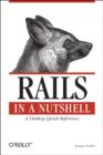 Image for Rails in a Nutshell