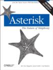 Image for Asterisk: the future of telephony