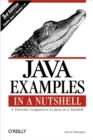 Image for Java Examples in a Nutshell: A Tutorial Companion to Java in a Nutshell