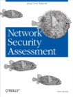Image for Network security assessment