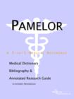 Image for Pamelor - A Medical Dictionary, Bibliography, and Annotated Research Guide to Internet References
