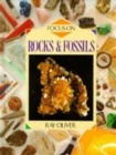 Image for Focus on: Rocks and Fossils