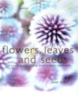 Image for Flowers, leaves and seeds