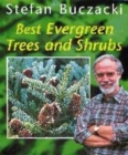 Image for BEST EVERGREEN TREES AND SHRUBS