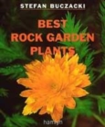 Image for Best rock garden plants