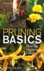 Image for Pruning basics