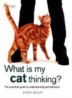 Image for What is my cat thinking?