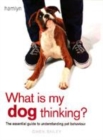 Image for What is my dog thinking?