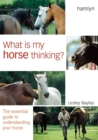 Image for What is My Horse Thinking?