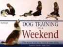 Image for Dog training in a weekend  : the easy way to train your dog