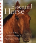 Image for Essential horse  : the ultimate guide to caring for and riding your horse