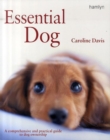 Image for Essential dog  : the ultimate owner's guide to caring for your dog