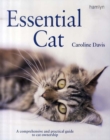 Image for Essential cat