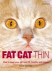 Image for Fat cat thin