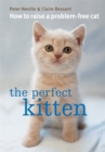 Image for The Perfect Kitten