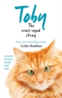 Image for Toby the cross-eyed stray